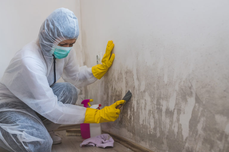 Utah Mold Cleanup Services