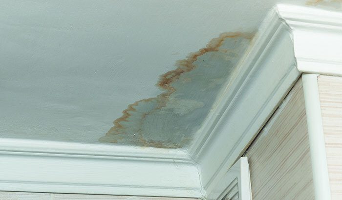 11 Signs of Water Damage In Your Home