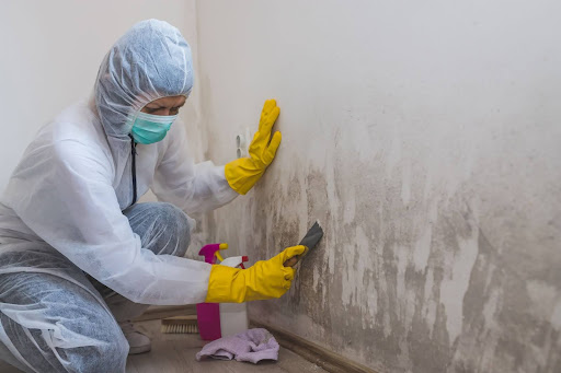 Female in white coat and rubber gloves cleaning wall with Mold Effect.