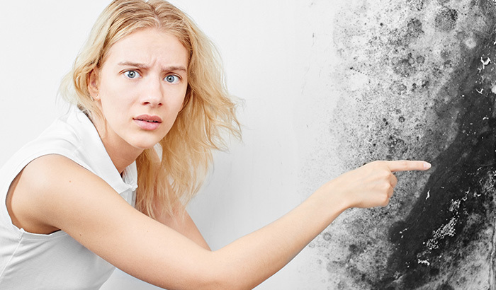 The Effects That Mold Can Have On Your Health (And What To Do About It)