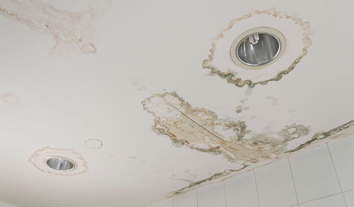 Water Damage In Your Ceiling? 3 Easy Steps to Take to Make It Right