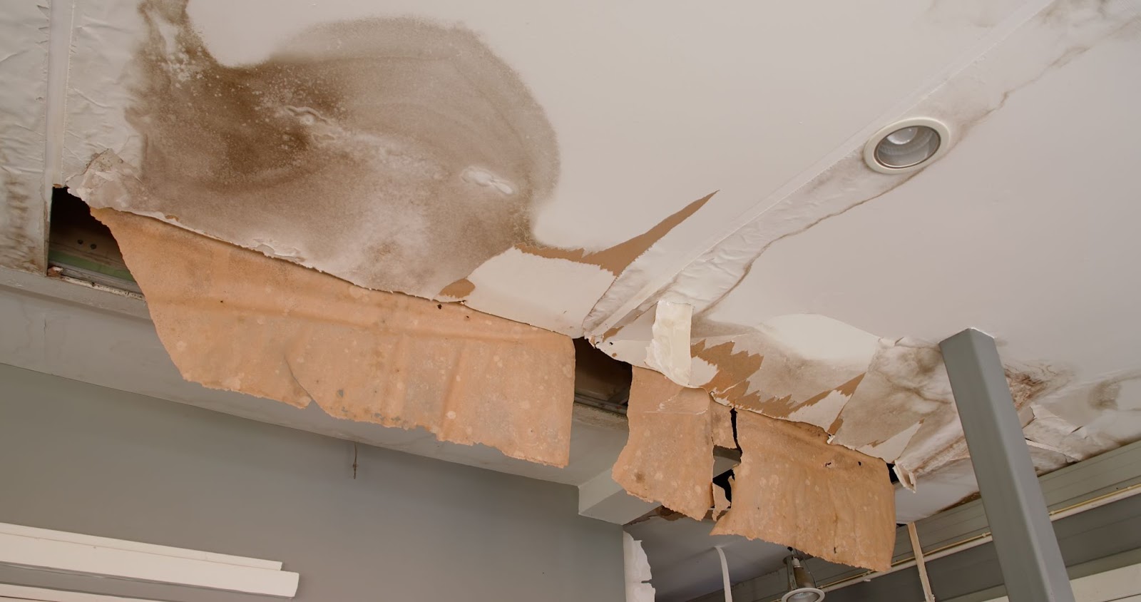 Severe water damage on a ceiling with large brown stains and peeling, hanging drywall paper.