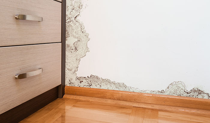 Causes of Water Damage and Why a Professional Should Handle the Restoration