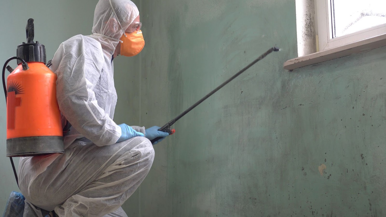 A remediation specialist in a protective suit and orange respirator mask sprays a chemical treatment onto a green wall to remove mold growth.