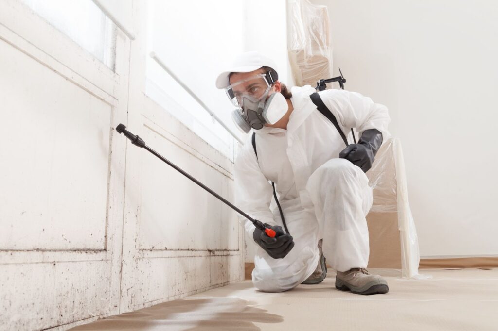 A technician in a white hazmat suit, respirator, and safety goggles uses a sprayer to treat mold or mildew on a baseboard and wall.