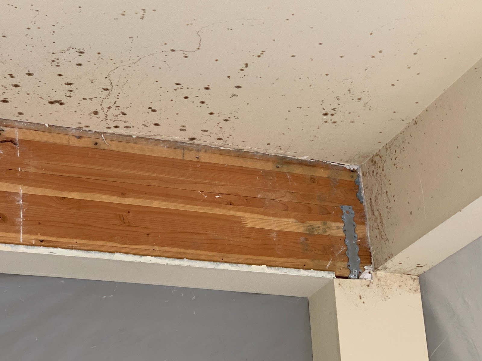 Extensive dark mold spotting and water staining on a ceiling and wall corner next to an exposed structural wooden beam.