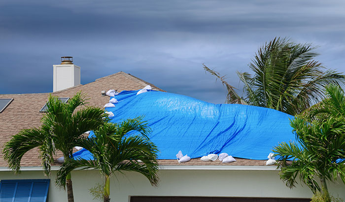 6 Things You Can Do to Avoid Storm Damage