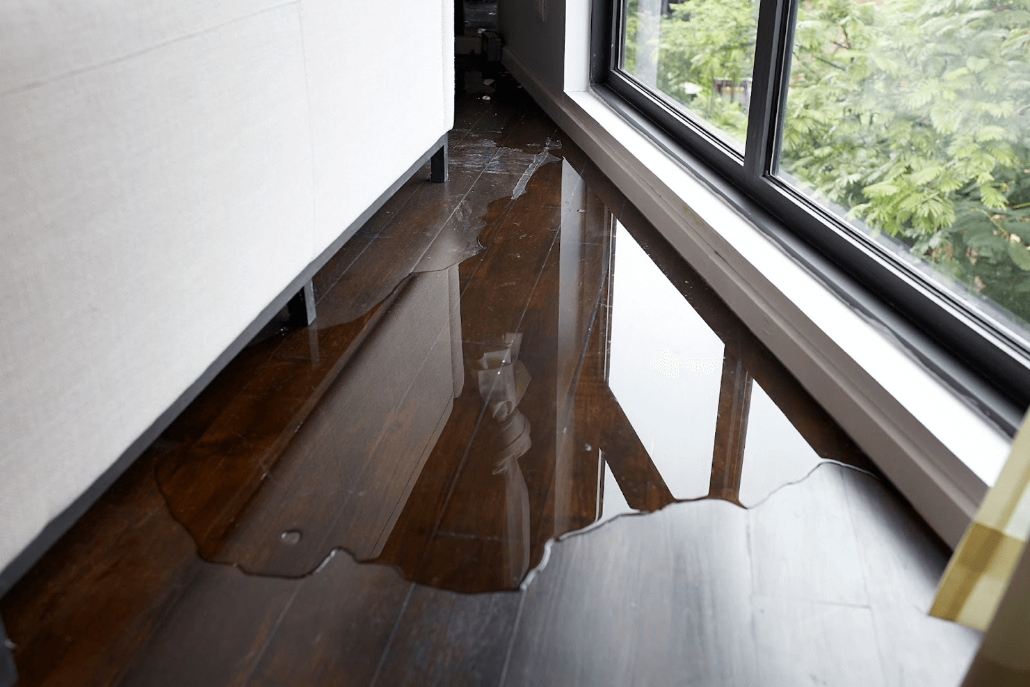 Five Tips on How to Prevent Water Damage