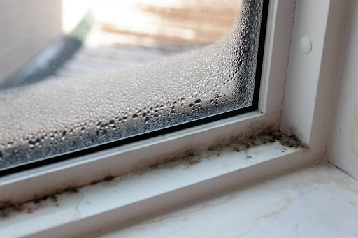 Mold prevention and remediation
