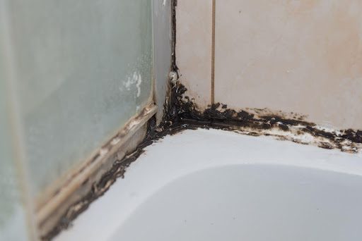 Pros and Cons of DIY Mold Removal