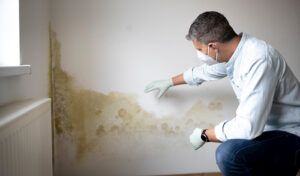 Can I Get Rid of Mold Myself?