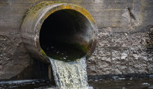 4 Different Types of Sewage Damage and How To Address Them