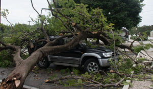 5 Steps To Take if You Have Storm Damage
