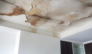What Does Water Damage In a Ceiling Look Like?