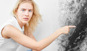 Woman Pointing At Moldy Wall Stresses Need For Mold Remediation To Prevent Allergies And Exposure To Spores