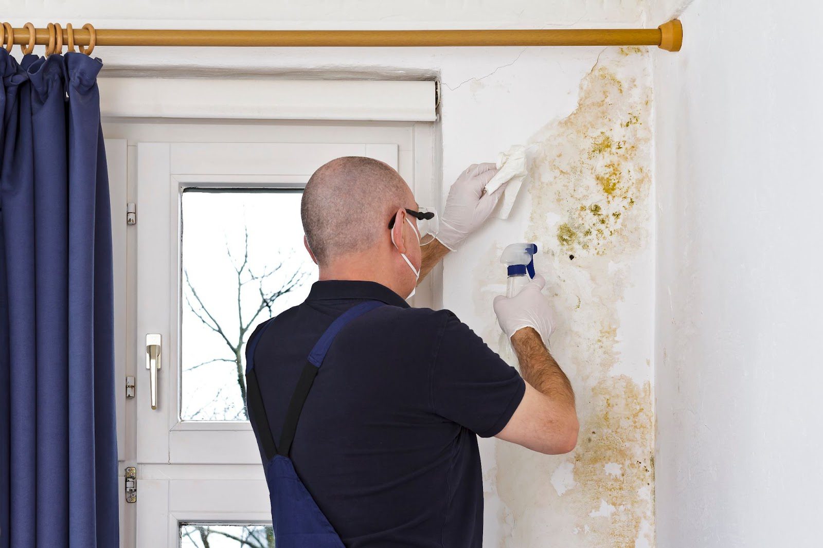 A man in overalls painting a wall with mold, addressing water damage and mold issues.