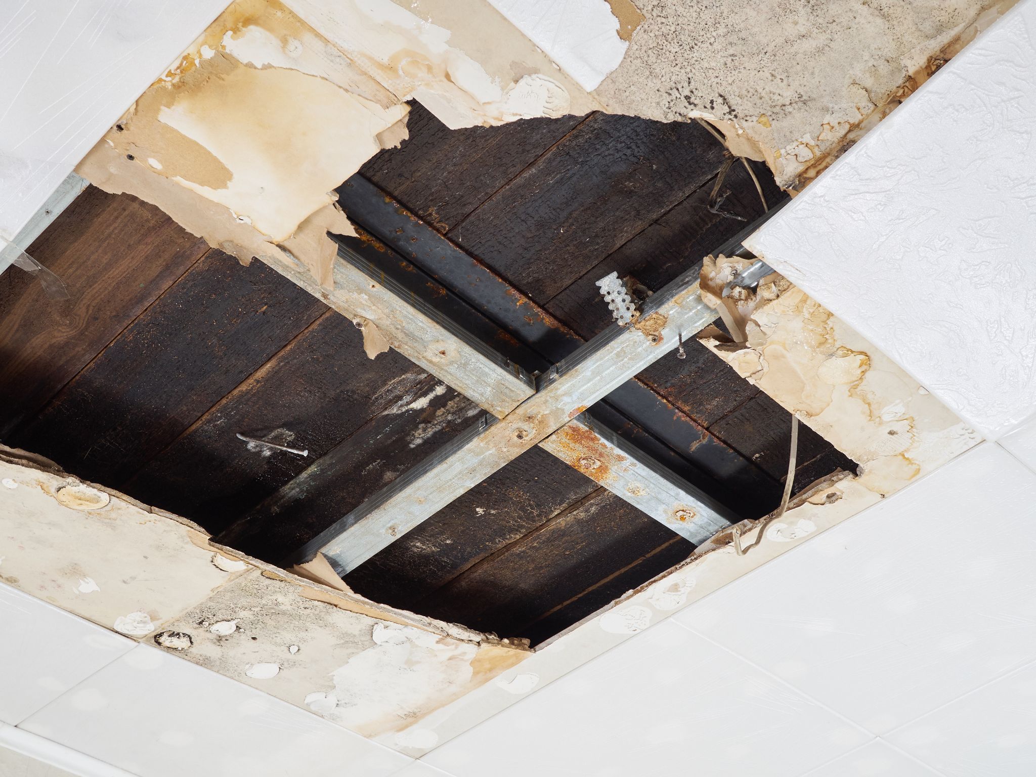 Water-damaged white ceiling tiles collapsed to reveal rusted metal framing and dark wooden subflooring.