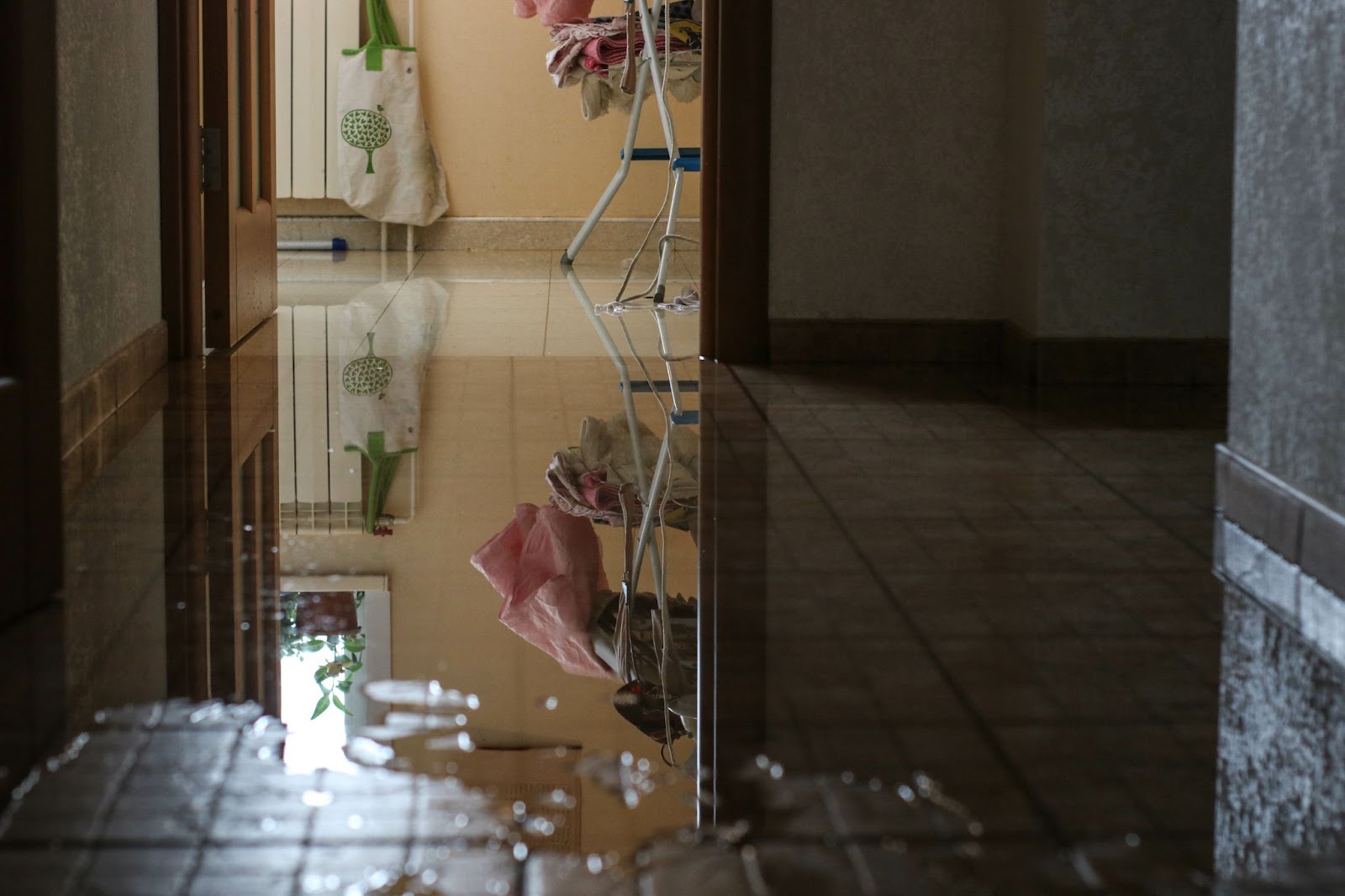 A flooded hallway featuring a door and a mirror, highlighting the need for water damage restoration and mold prevention.