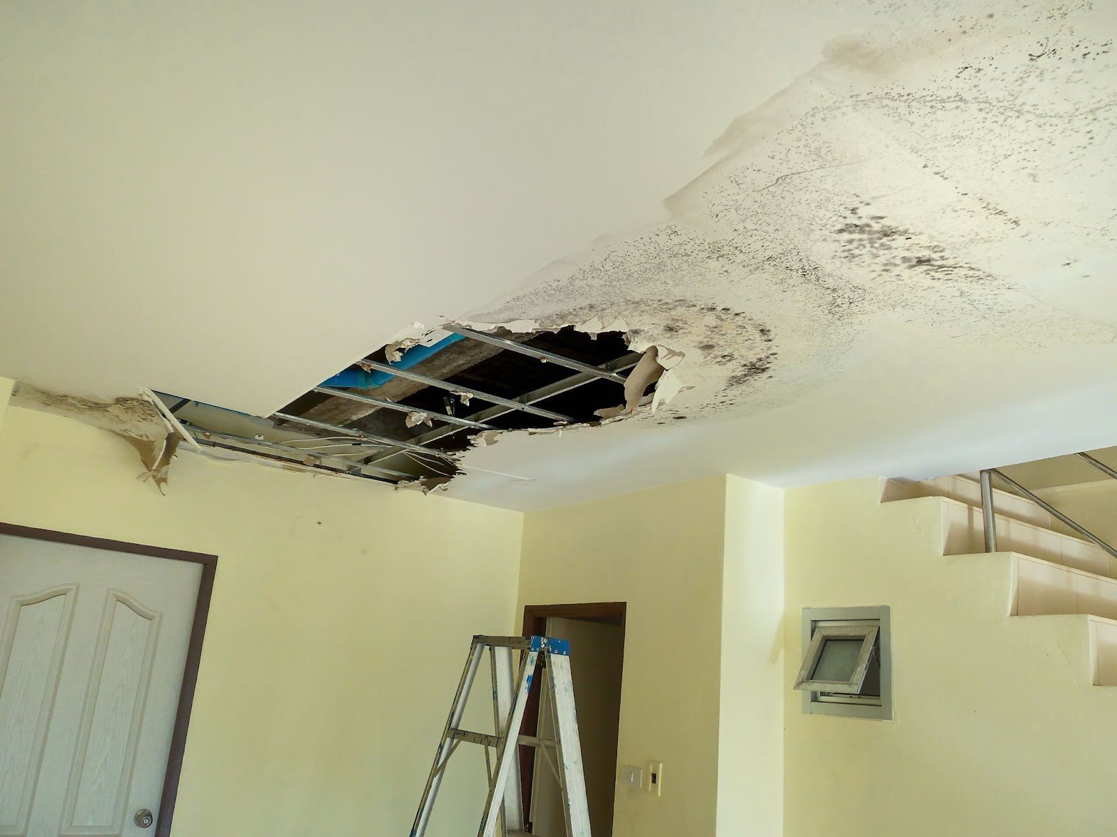 A room undergoing ceiling repairs due to water damage, showing signs of mold and mildew growth on the surfaces.