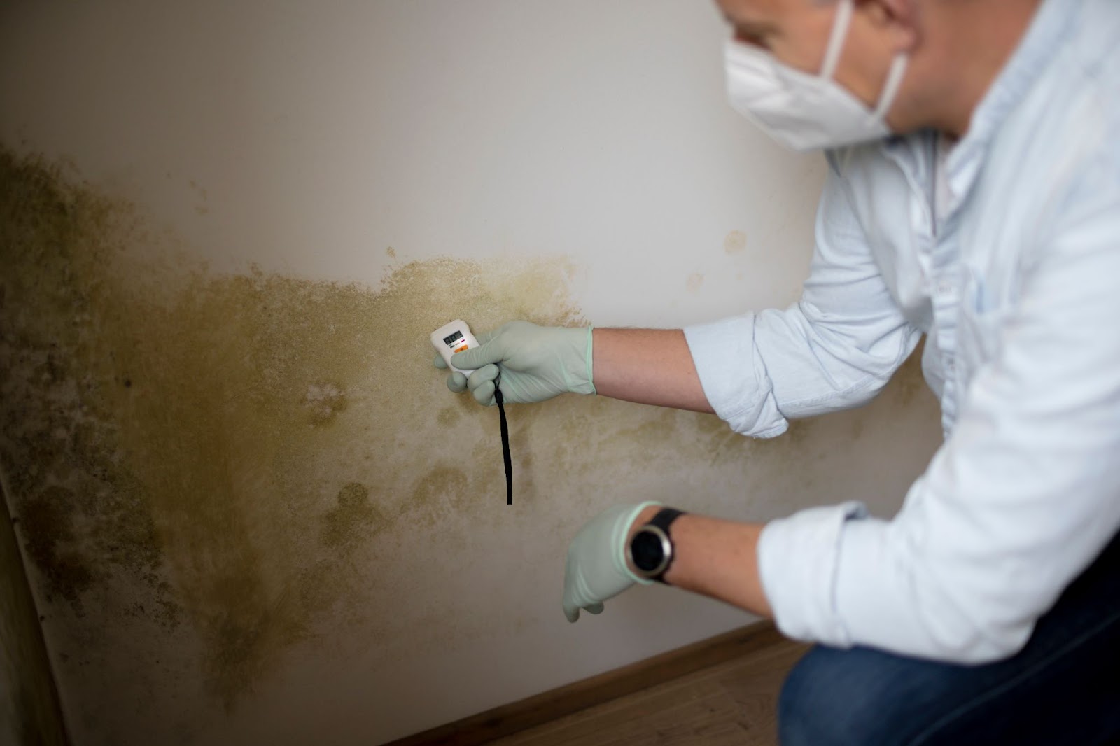 A man in a white shirt and gloves checks for mold using a meter, highlighting professional mold remediation efforts.