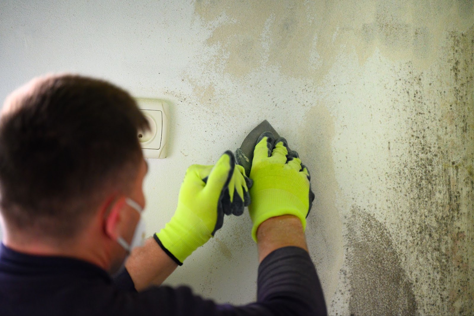A person in a mask and yellow gloves sanding mold off a wall near an electrical outlet.