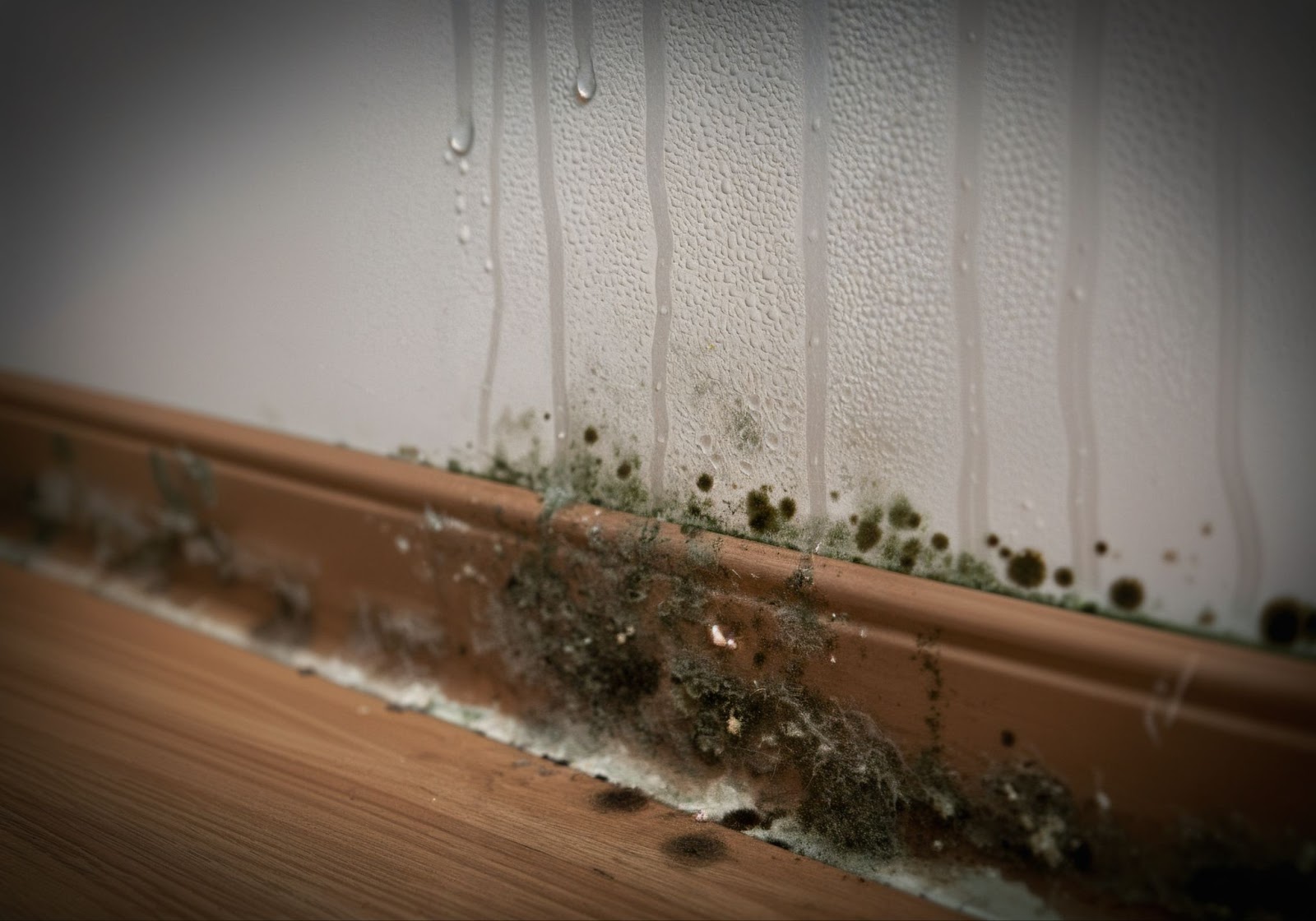 Wall with water streaks and mold growth above a wooden floor.