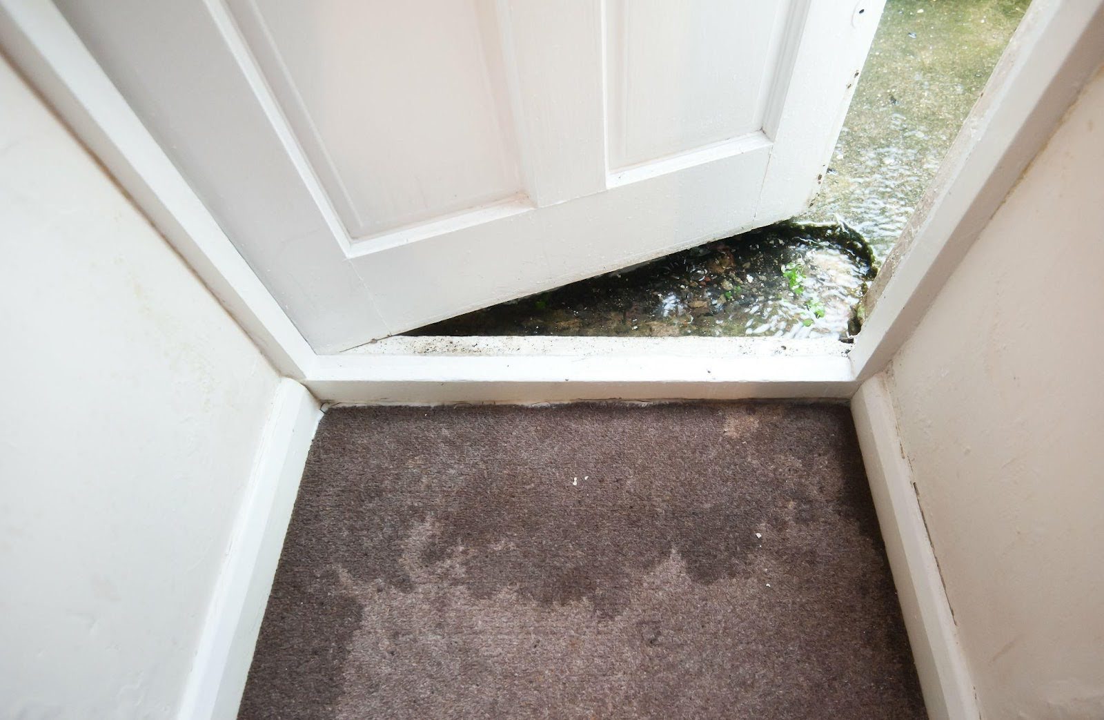 A white door stands against a carpeted floor leading to another white door in a simple interior setting