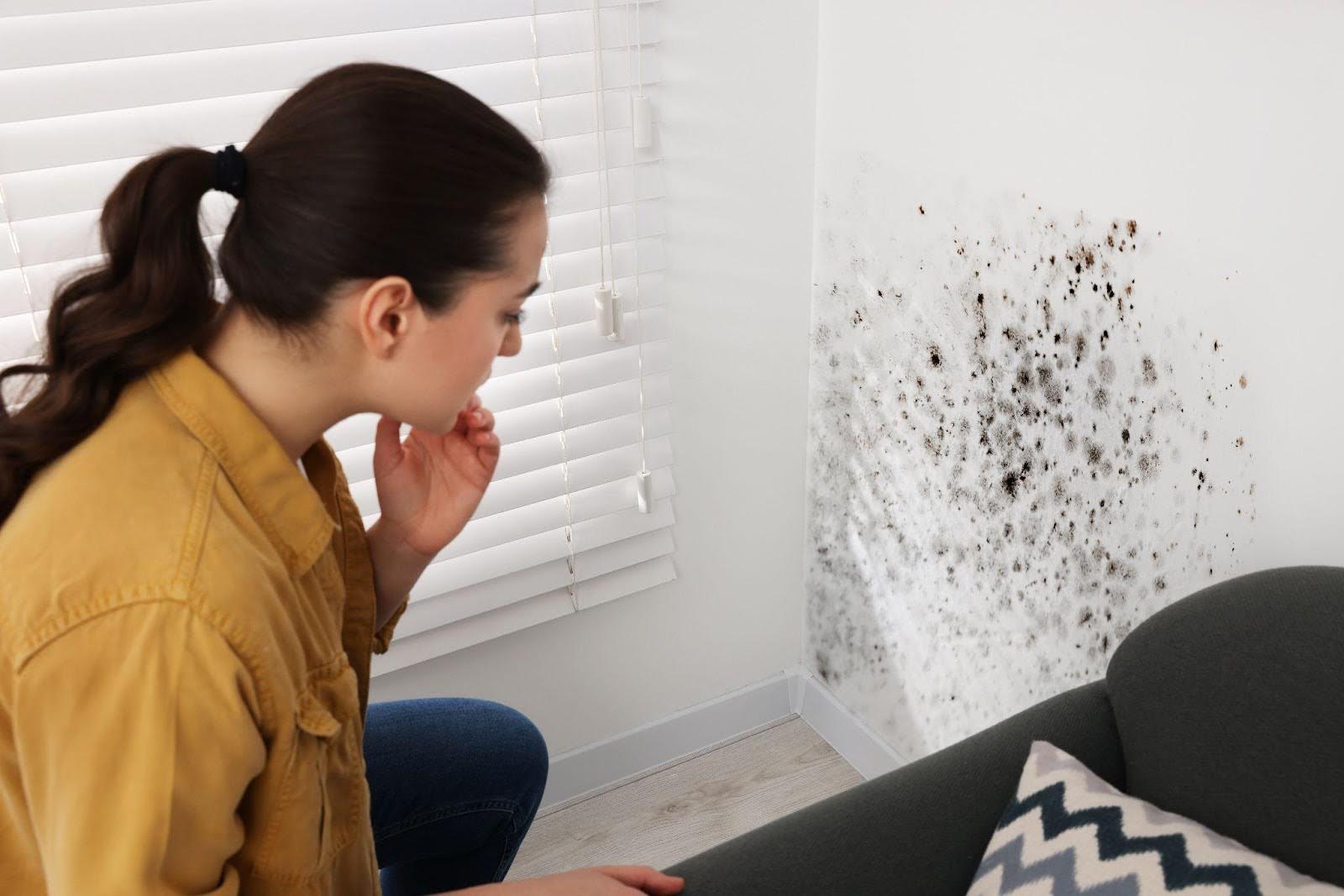 A woman examines mold growth on a wall showing concern for the potential health risks involved