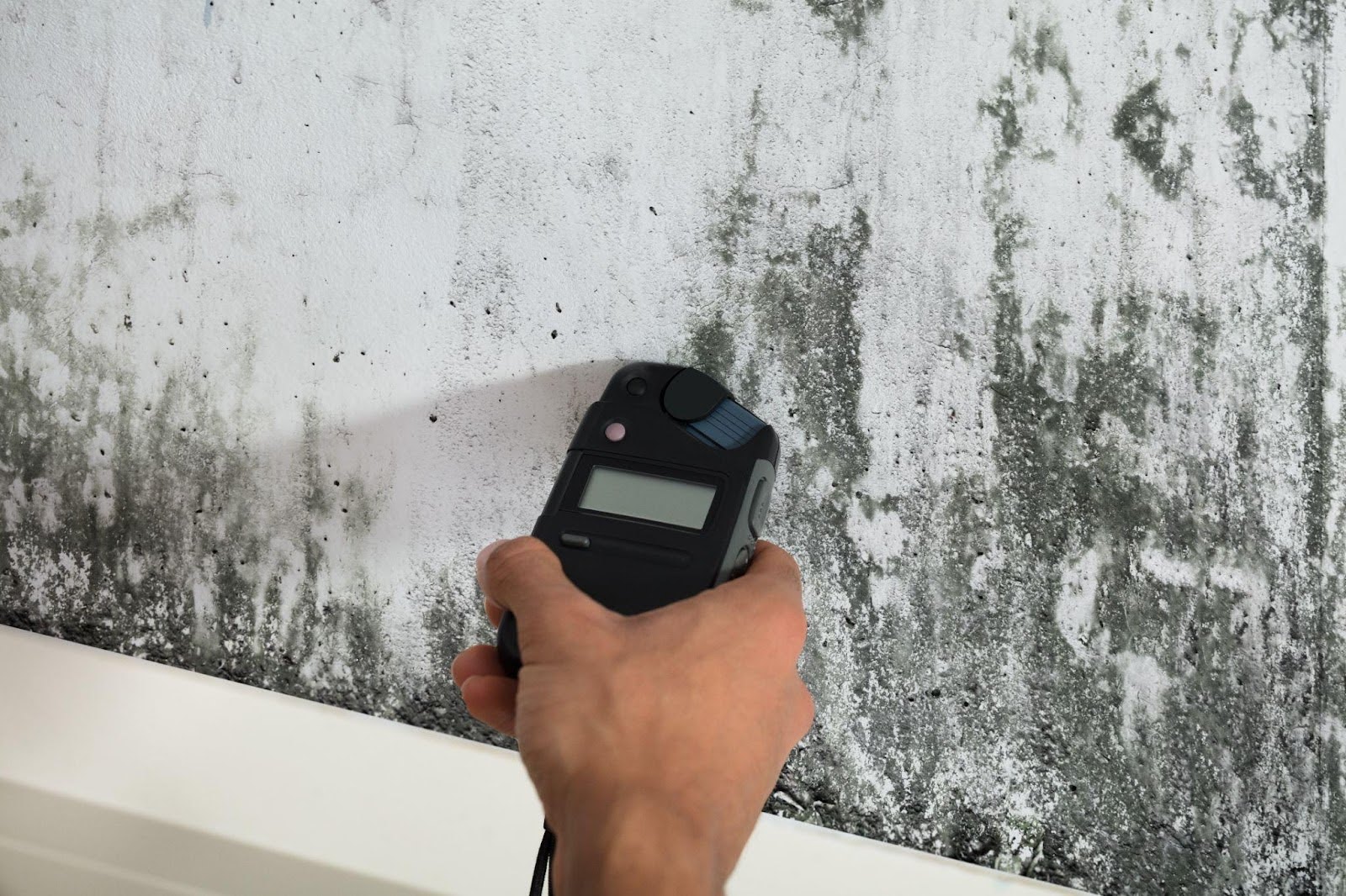 A person measures wall moisture with a digital thermometer for home maintenance