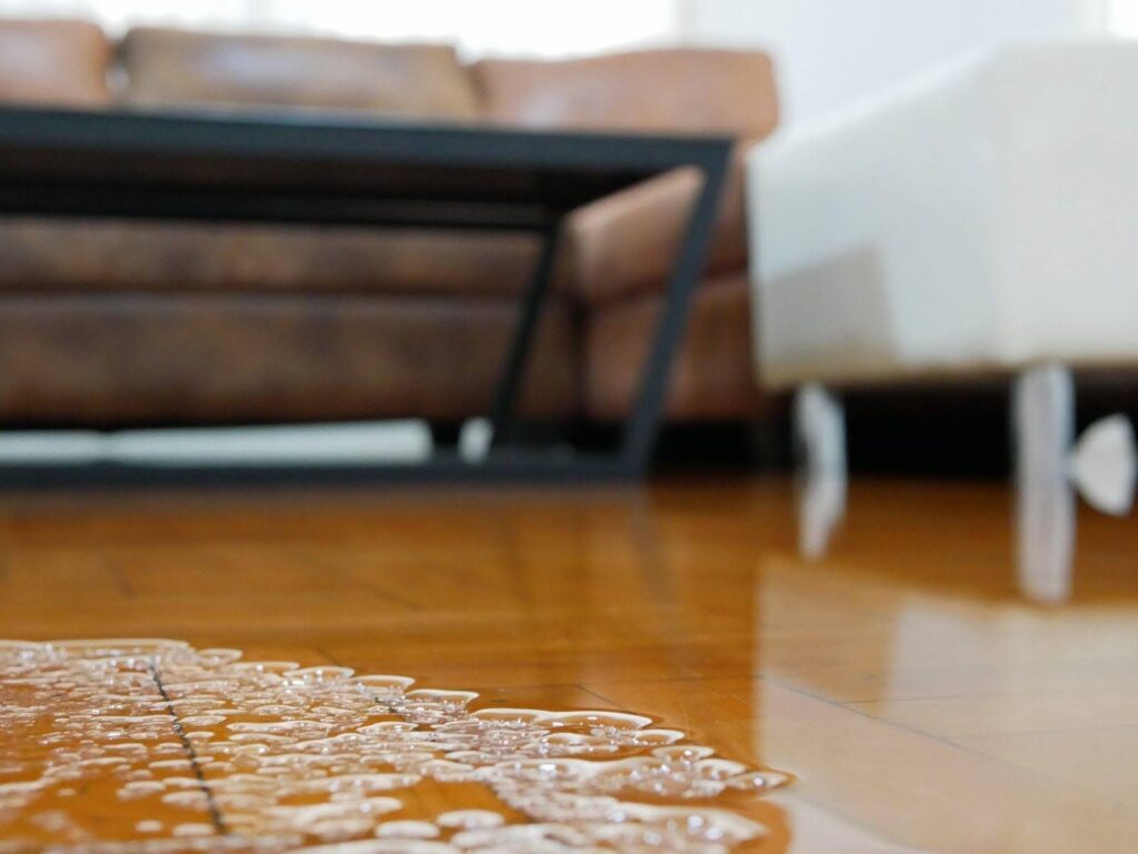 A water puddle on the living room floor indicating possible leakage or recent cleaning