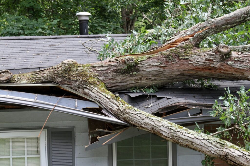 Large tree fallen on house roof, crushing gutters and shingles. Broken branches and debris scattered. Damaged roof and siding visible.