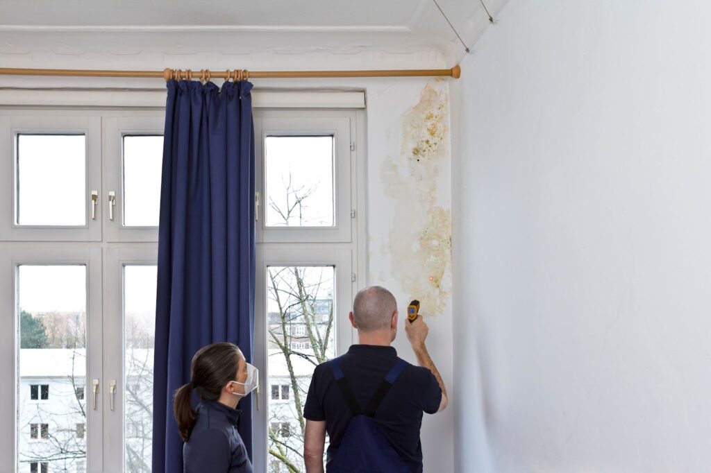 A man and woman painting a wall in a room as part of mold damage restoration efforts.