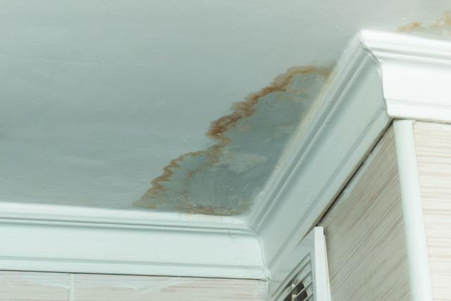 A brown water stain on a white ceiling next to decorative crown molding.