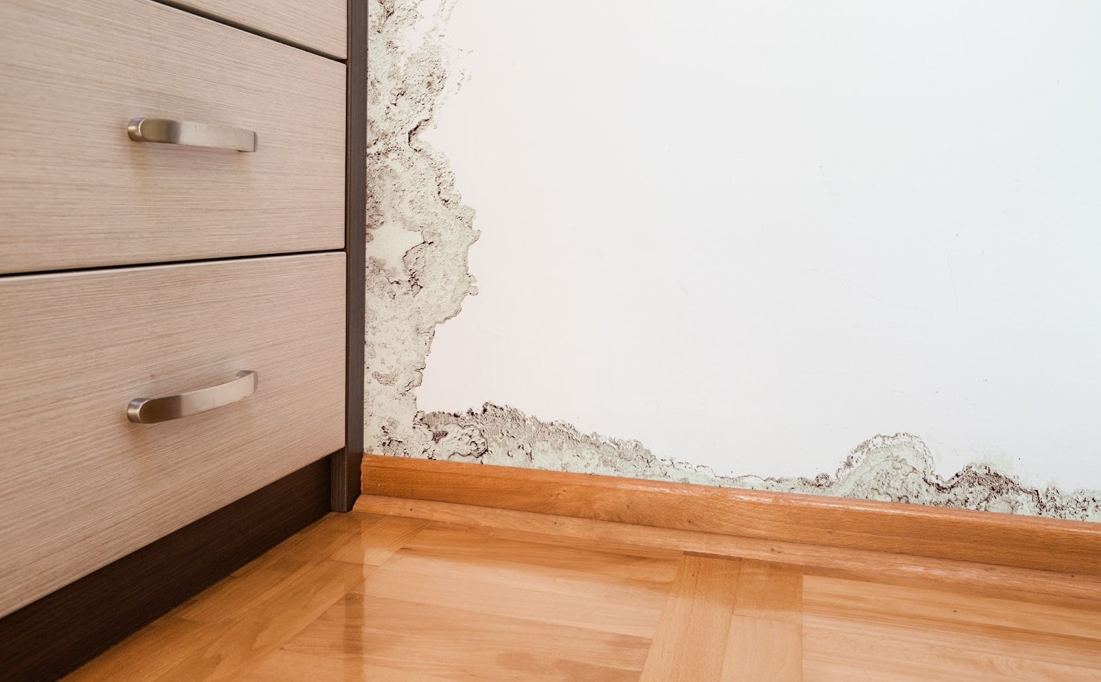 A white wall with visible dark mold growth spreading from the corner and along the wooden baseboard next to a dresser.