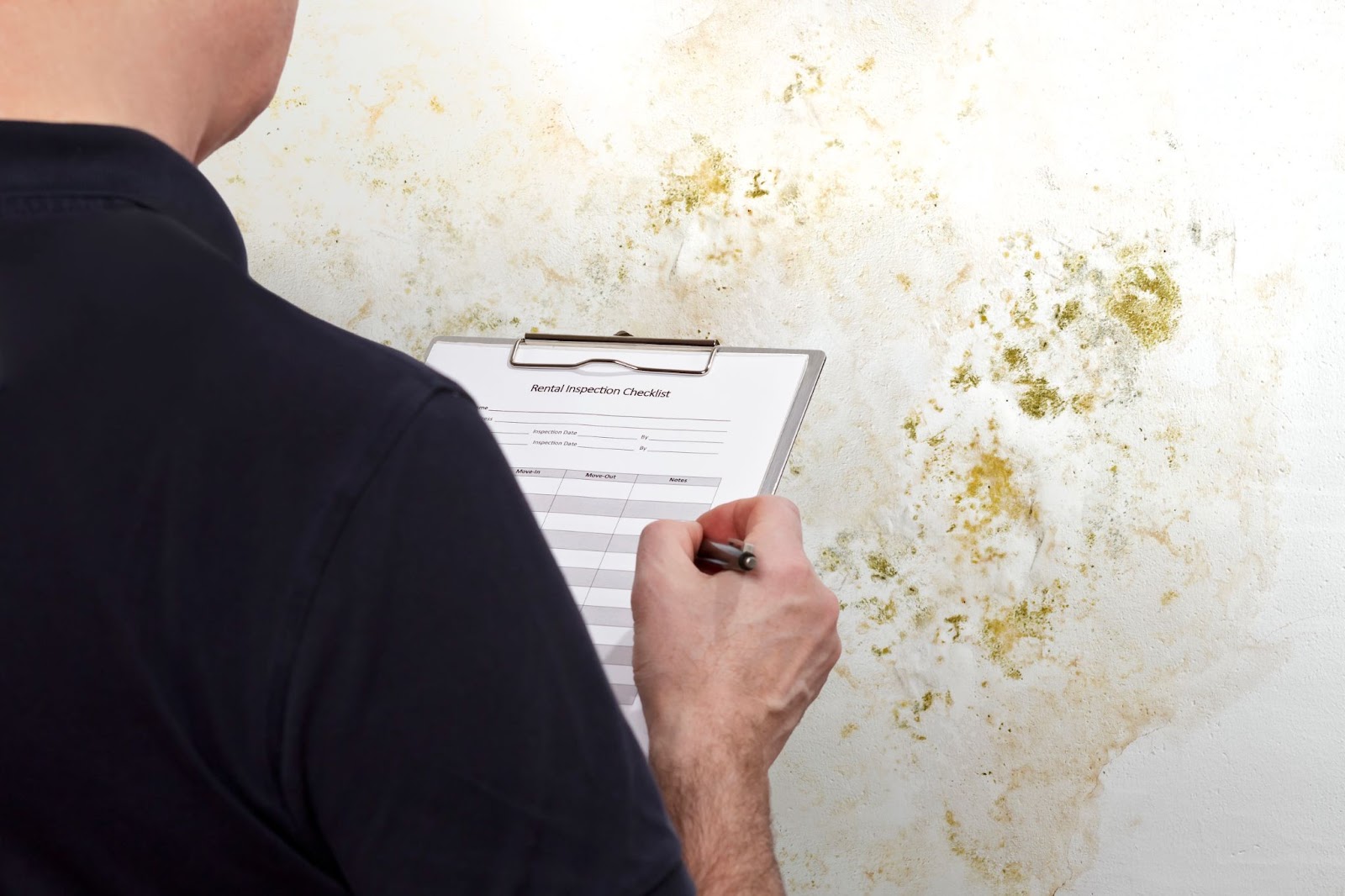 An inspector holding a Rental Inspection Checklist on a clipboard while examining a wall covered in green and yellow mold.