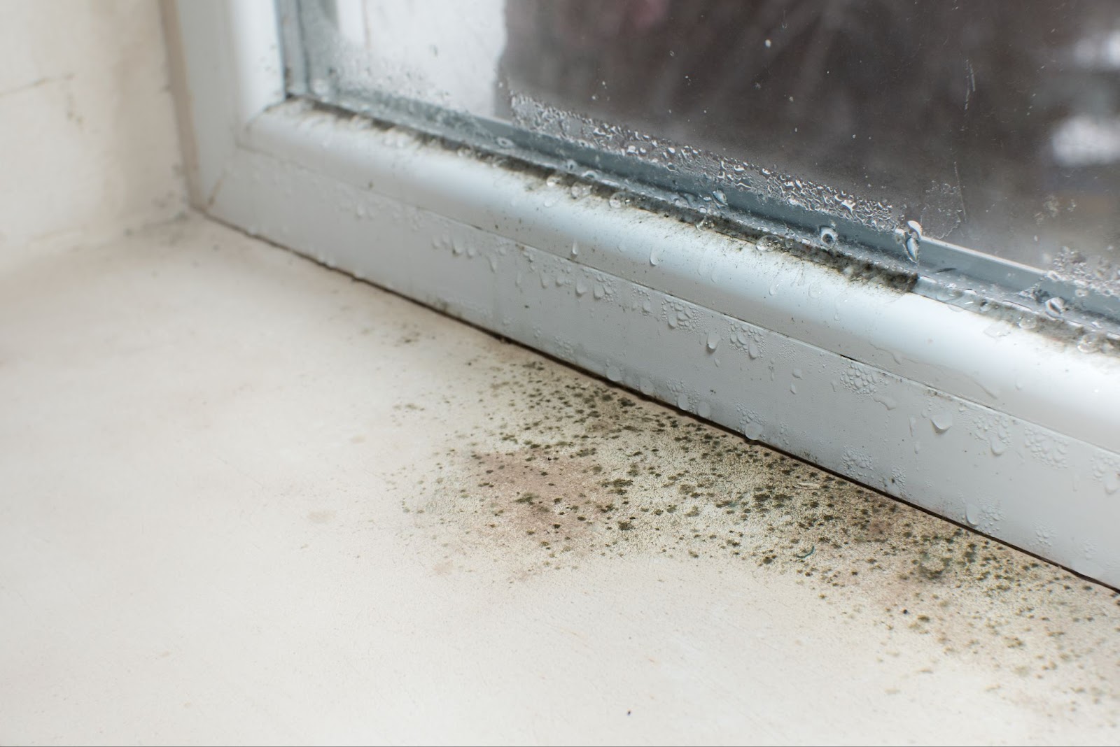 Black mold spores and condensation buildup along the frame and sill of a white window.