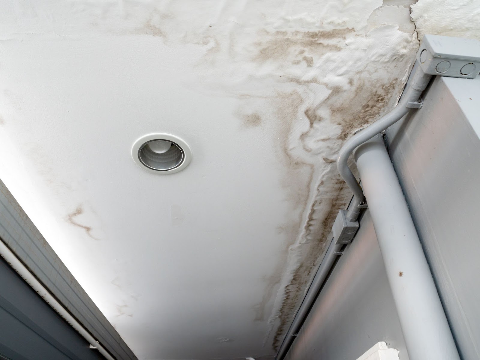 Severe water damage and brown staining on a white ceiling with bubbling paint near an recessed light and electrical conduit.