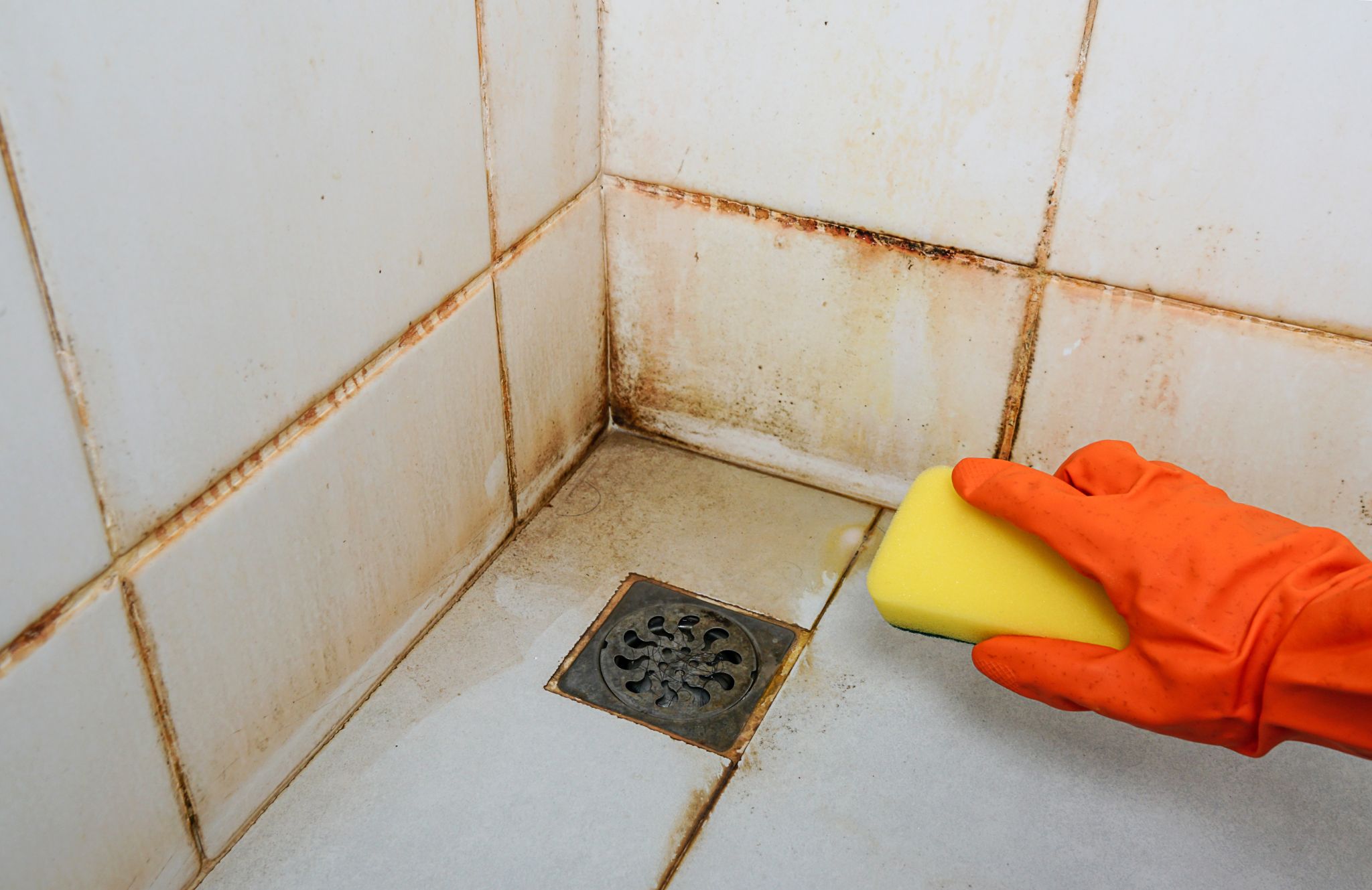 A hand in an orange glove using a sponge to clean stained shower tiles and grout.