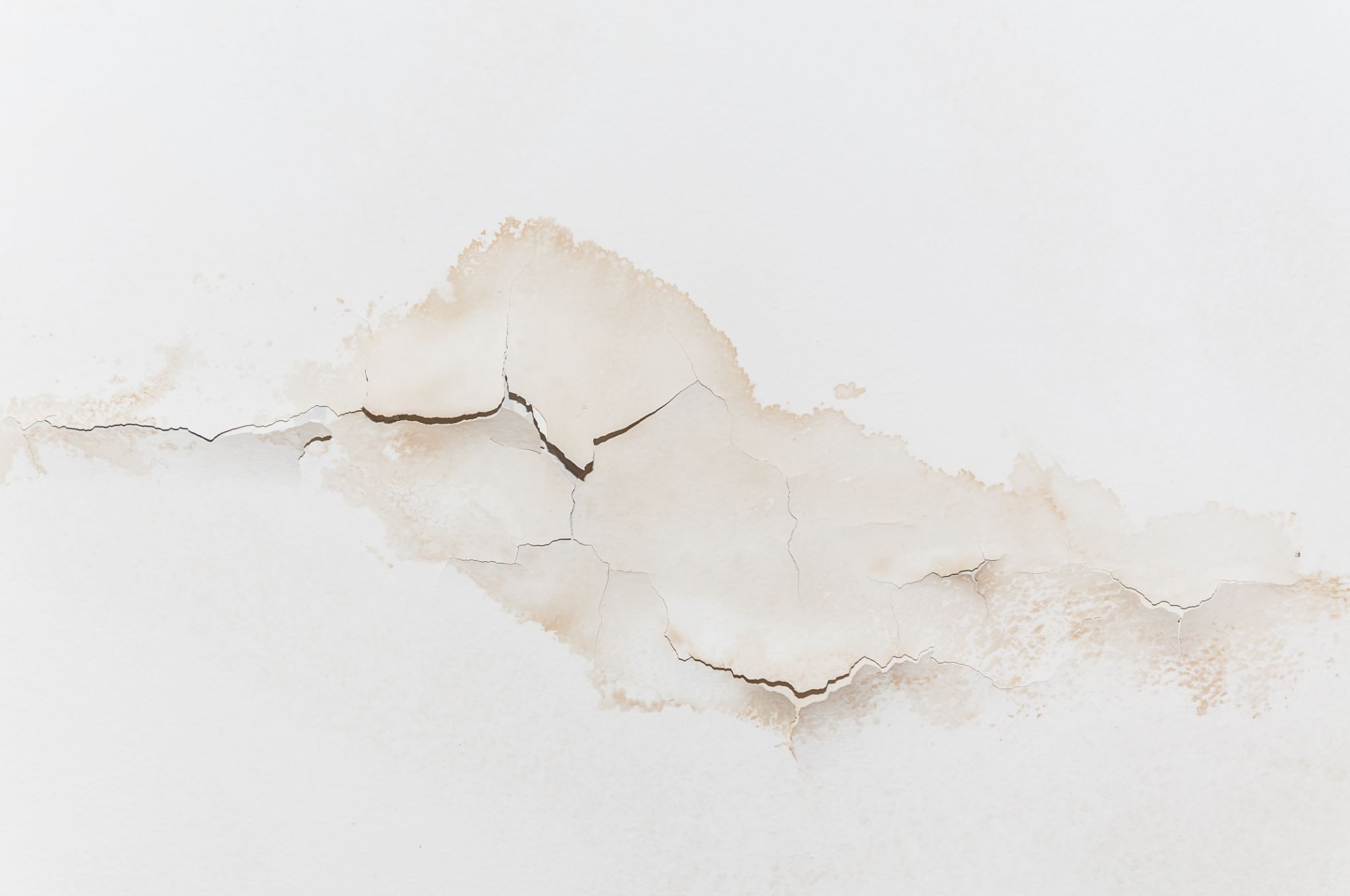 A large brown water stain with cracking peeling paint on a white ceiling.