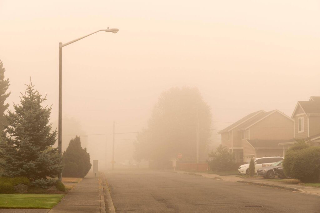 A quiet suburban street fades into dense golden fog with homes trees and street lights
