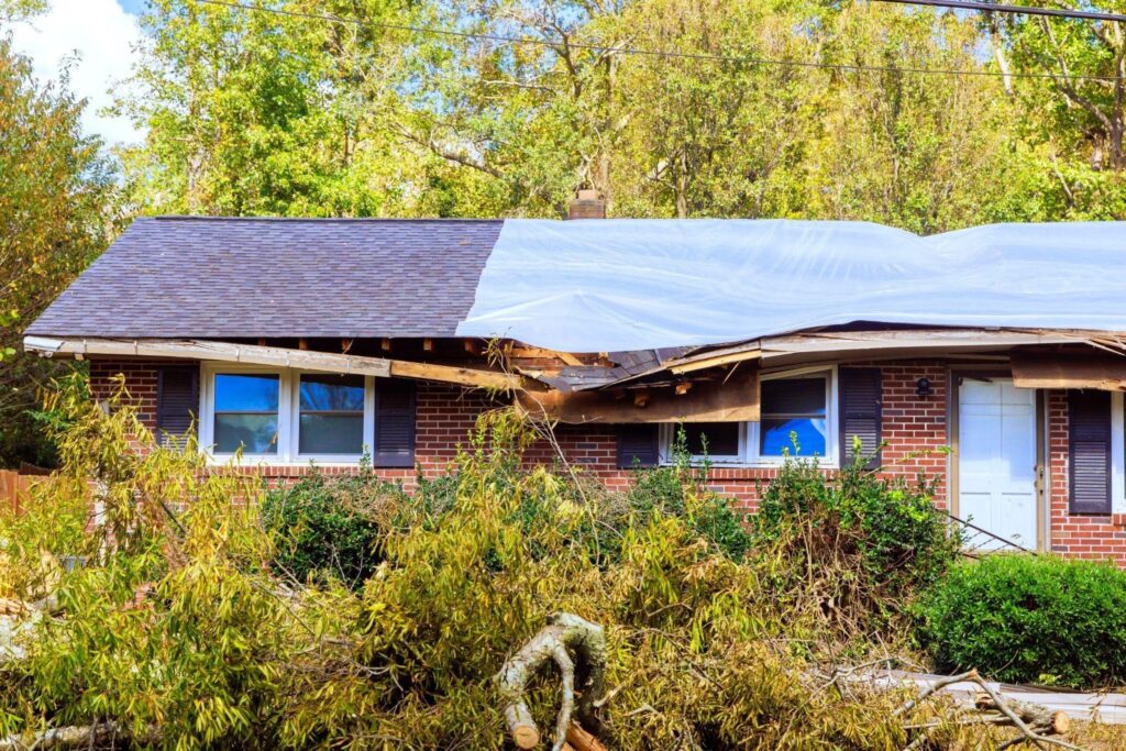 Weather damaged brick house with a sagging tarp covered roof overgrown shrubs and leafy trees
