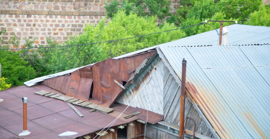 Weathered corrugated metal rooftops and wooden sheds sit beneath leafy trees with an old brick wall behind