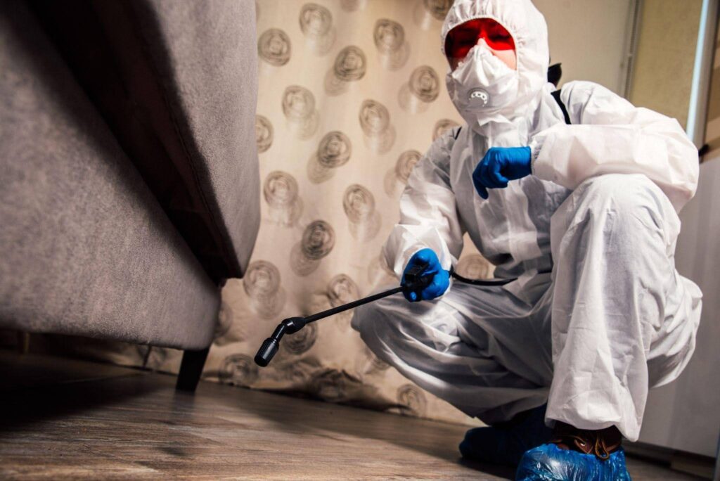 A person dressed in a white suit and blue gloves is seen spraying a bed with disinfectant